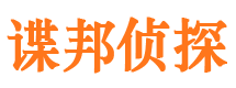 盐边市调查公司